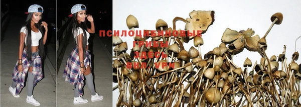 мдма Краснослободск