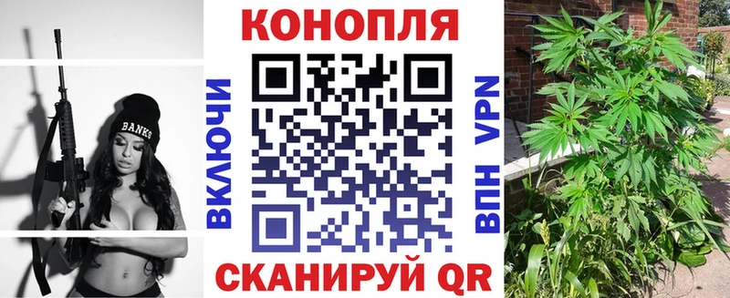 Купить  Прохладный  Бошки марихуана гибрид 